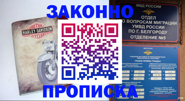 прописка для школы в Петушках